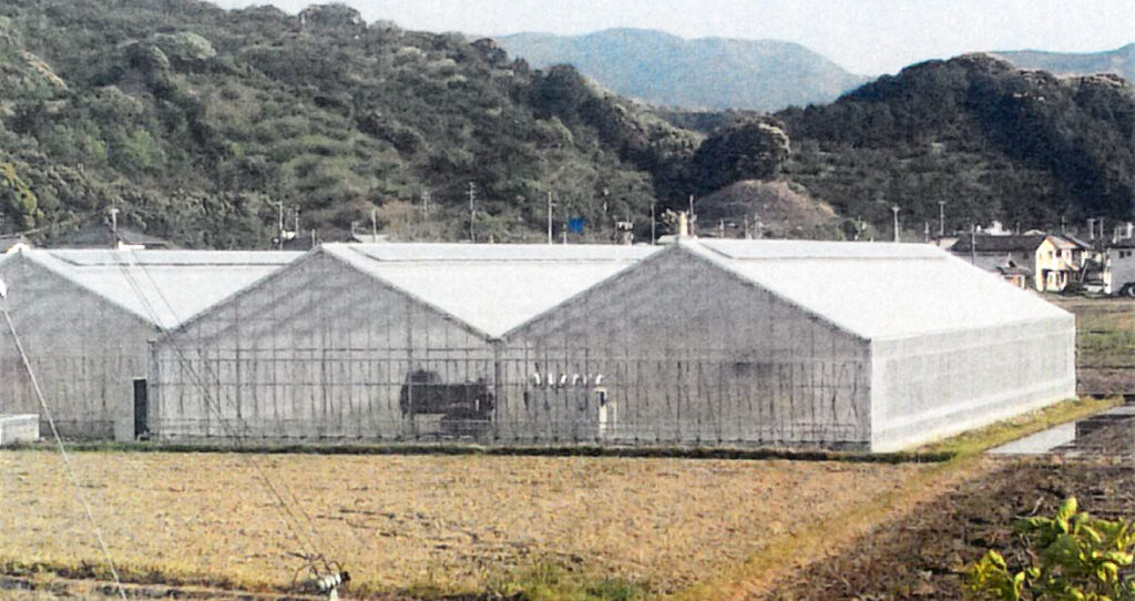 H形鋼鉄骨ハウス